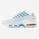 Кросівки Nike Air Max TN Plus White Blue 14081-Білий-42 фото 1
