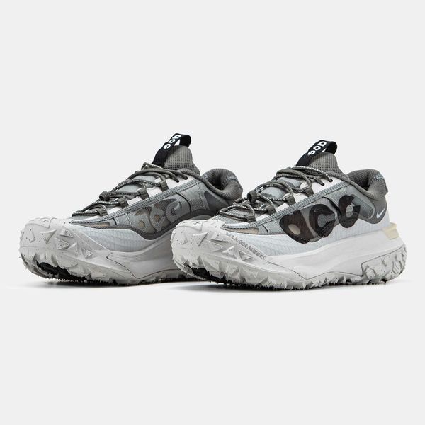 Кросівки Nike ACG Mountain Fly Low 2 Iron Ore 14680-Мультиколір-38 фото