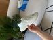 Кросівки Adidas Adizero Evo SL Light Green/Silver Metallic 21399-Сріблястий-36 фото 2