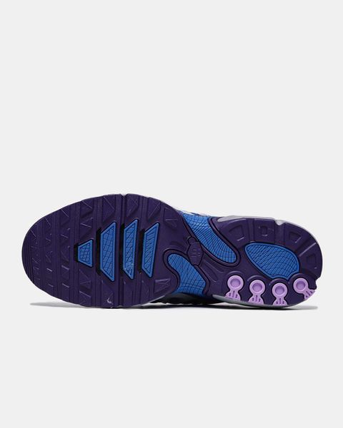 Кросівки Nike Air Max Plus Drift Concord 18051-Мультиколір-36 фото