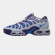 Кросівки Nike Air Max Plus Drift Concord 18051-Мультиколір-36 фото 1