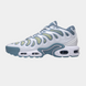 Кросівки Nike Air Max Plus Drift 'Ashen Slate 18068-Білий-42 фото 1