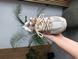 Кросівки New Balance 530 Custom Beige 22145-36 фото 13