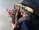Кросівки New Balance 1906A Grey Burgundy Extreme Laces 24096-Мультиколір-40 фото 5