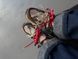 Кросівки New Balance 1906A Grey Burgundy Extreme Laces 24096-Мультиколір-40 фото 3