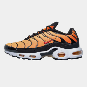 Кросівки Nike Air Max Plus OG Tn Tiger 02121-Помаранчевий-41 фото