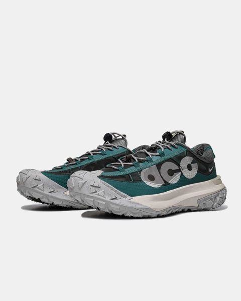 Кросівки Nike ACG Mountain Fly Low 2 Bicoastal 18050-Мультиколір-36 фото