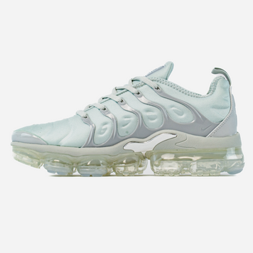 Кросівки Nike Air VaporMax Plus Grey 08893-Сірий-41 фото
