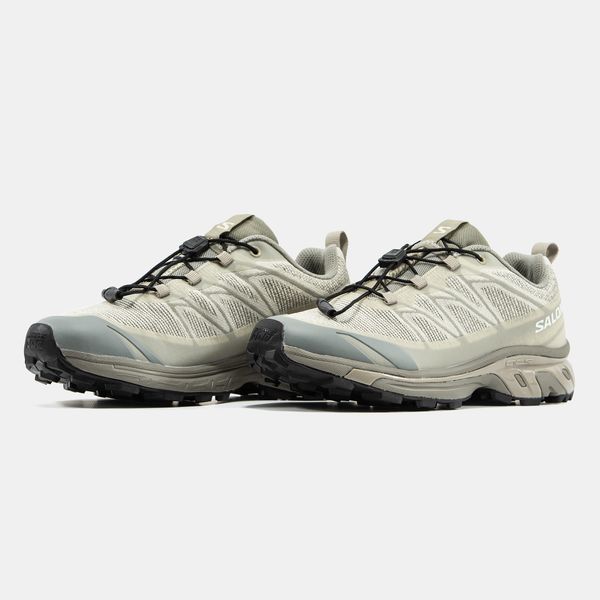 Кросівки Salomon XT-6 Shadow Beige 24866-40 фото