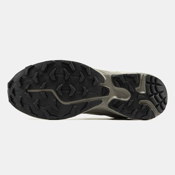 Кросівки Salomon XT-6 Shadow Beige 24866-40 фото