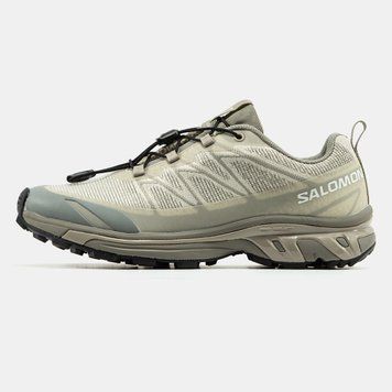 Кросівки Salomon XT-6 Shadow Beige 24866-41 фото