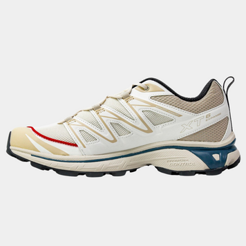 Кросівки Salomon XT-6 Expanse Beige Red Blue 16409-Бежевий-41 фото