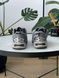 Кросівки Asics Gel-Kahana Tr v2 Grey Black Brown 14249-Сірий-40 фото 7