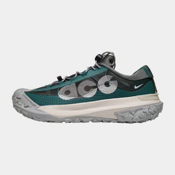Кросівки Nike ACG Mountain Fly Low 2 Bicoastal 18050-Мультиколір-40 фото