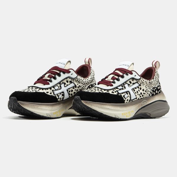Кросівки Premiata HILL Beige Black Leopard 23662-Мультиколір-36 фото
