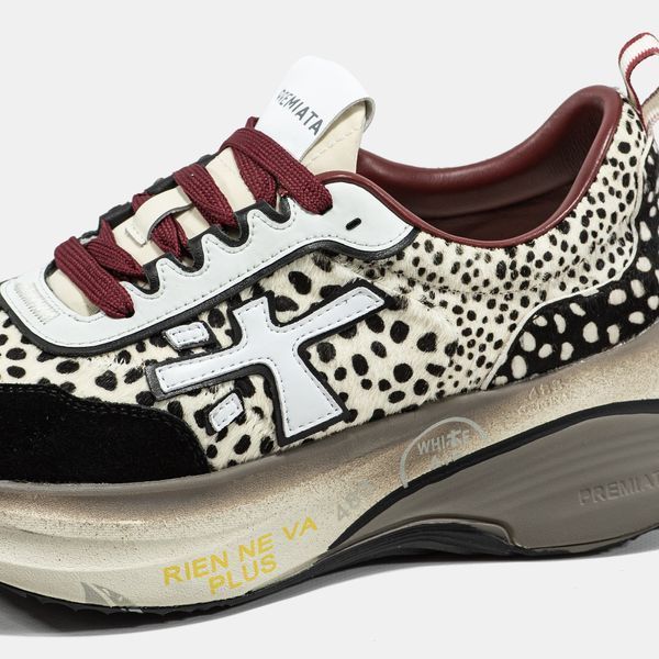 Кросівки Premiata HILL Beige Black Leopard 23662-Мультиколір-36 фото