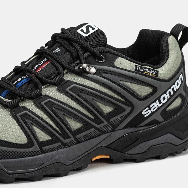 Кросівки Salomon Speed Cross Pro Gore-Tex Thinsulate Black Green 17961-Мультиколір-41 фото